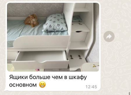 Двухъярусная кровать Альфа 180х80 (цвет белый) от Династия Kids